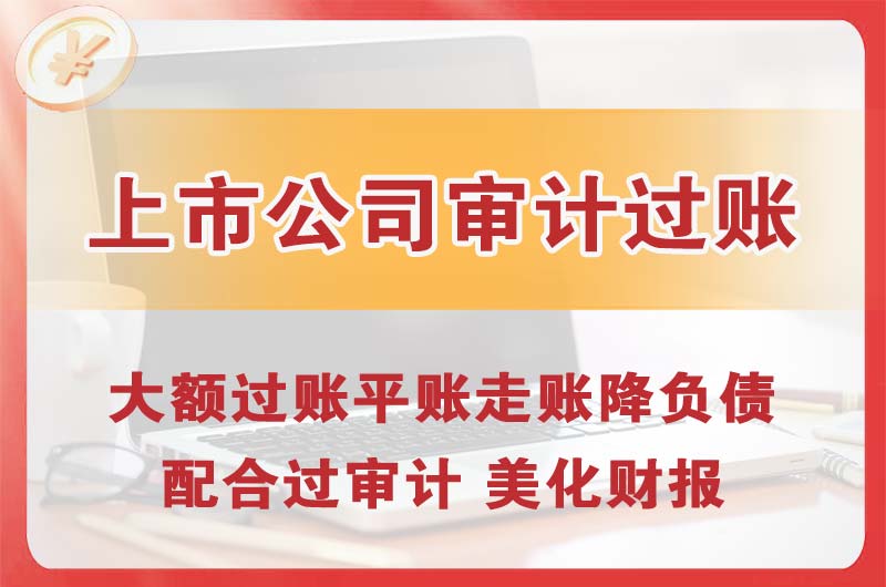 嘉善上市公司审计过账